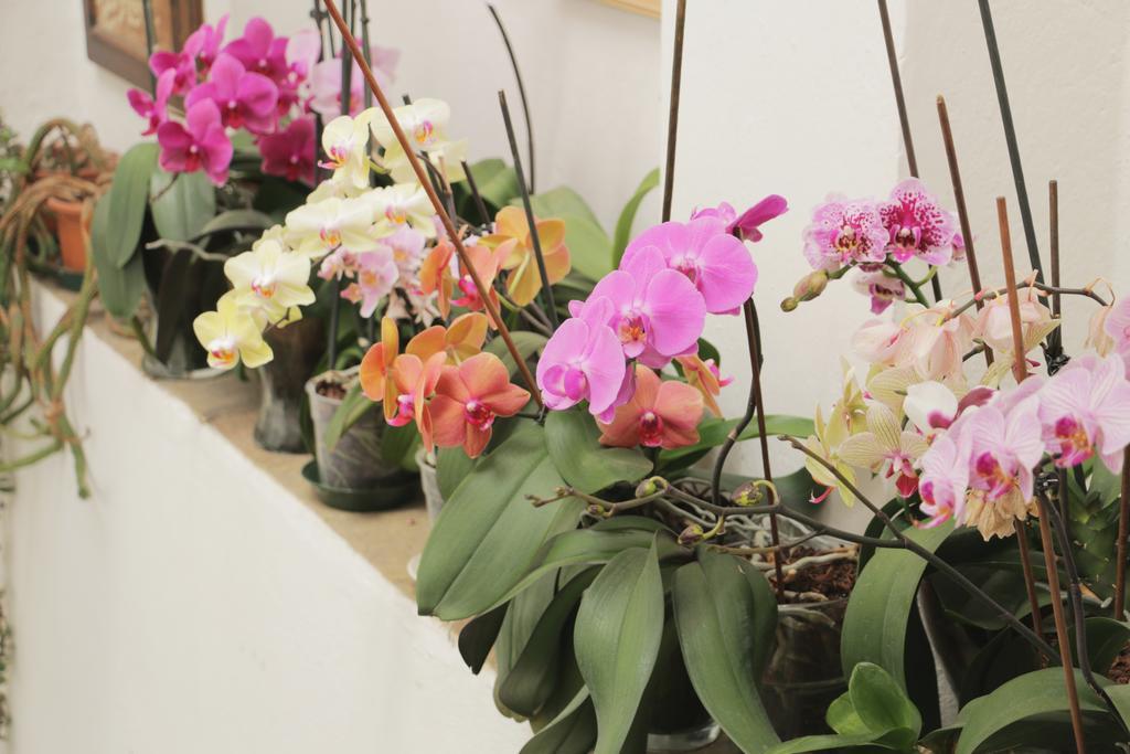 치타디카스텔로 Palazzo San Florido B&B 외부 사진